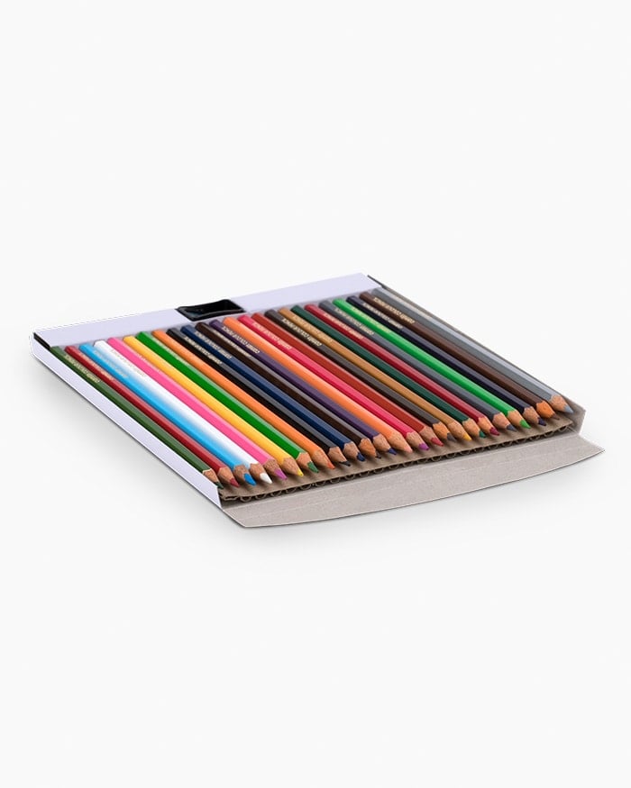 A Pack of Camlin Colour Pencils Full Size 24 Shades Multi Colour