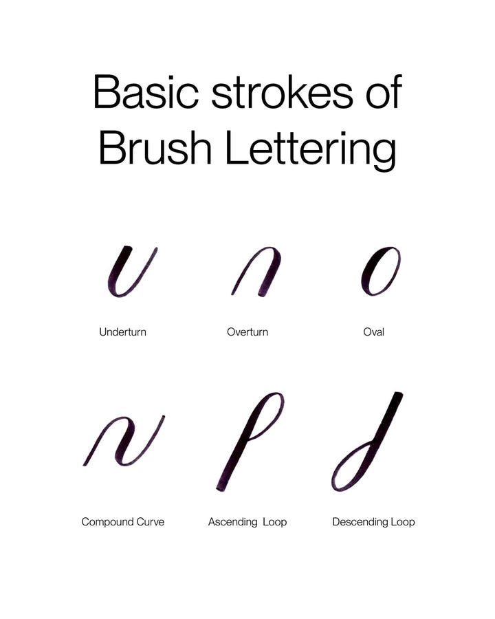 Basic Strokes of Brush Lettering  with Calim Artist  brush pen