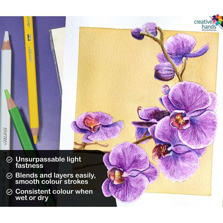 Brustro Artist Water Colour Pencil