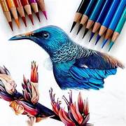 Art Pencil Best Drawing