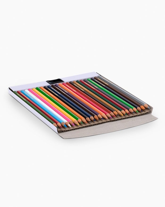 A Pack of Camlin Colour Pencils Full Size 24 Shades Multi Colour 