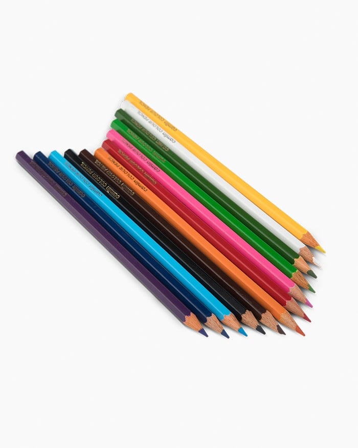 12 Pcs of Camlin Colour Pencils Full Size