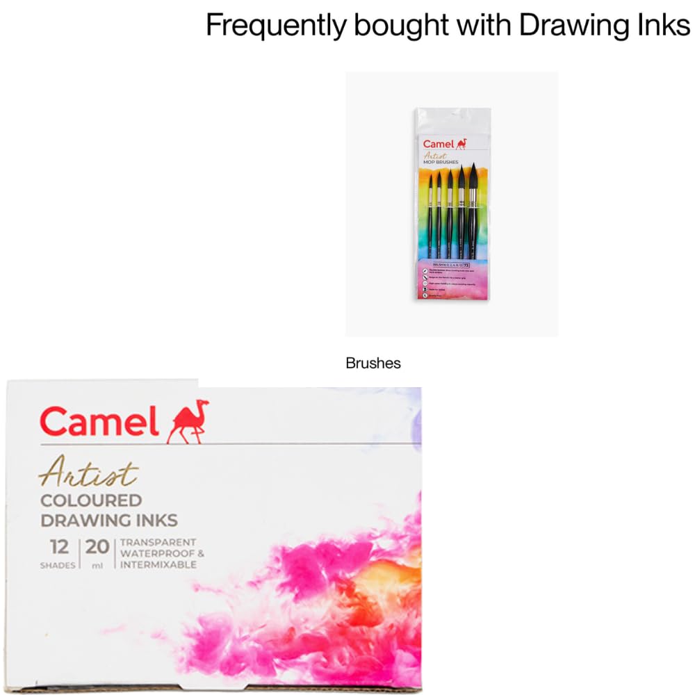 Camlin Pack of 12 Coloured Drawing Inks in 20 ml Bottles
