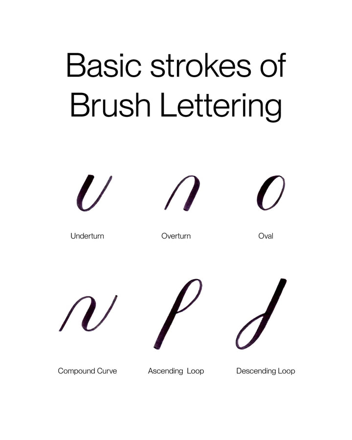 Basic Strokes of Brush Lettering  with Calim Artist  brush pen 