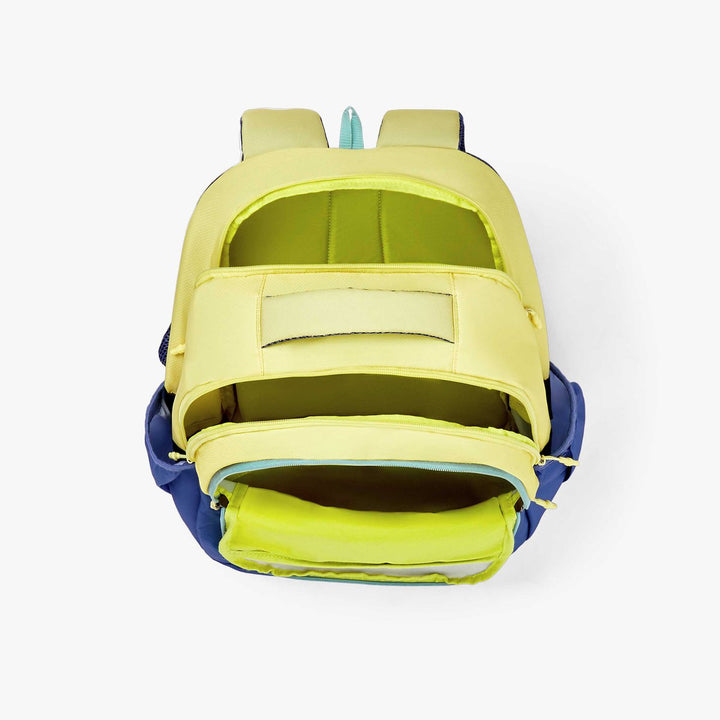 American Tourister Stan Backpack  Durable Printed Backpack Bbag | India’s Best Online Stationery Store