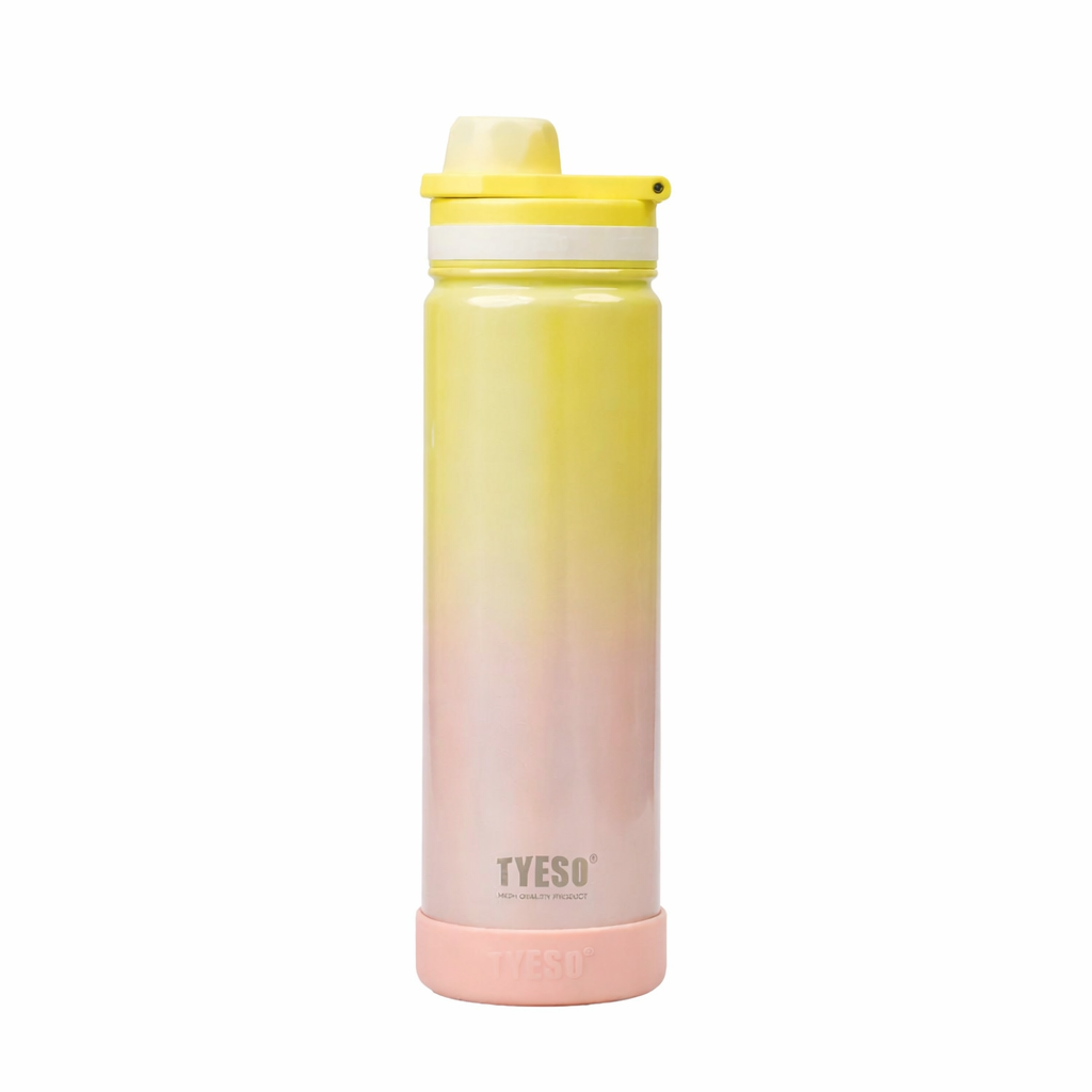 TYESO 750ml Rainbow Insulated Tumbler Stainless Steel Bottle with Handle Bbag | India’s Best Online Stationery Store
