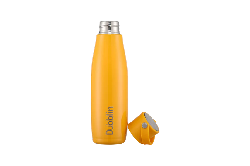 Dubblin Kiwi 700ML Stainless Steel Water Bottle Bbag | India’s Best Online Stationery Store