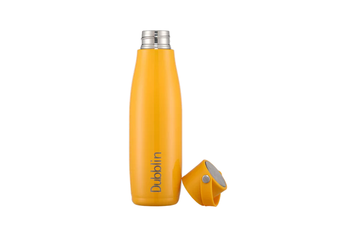 Dubblin Kiwi 700ML Stainless Steel Water Bottle Bbag | India’s Best Online Stationery Store