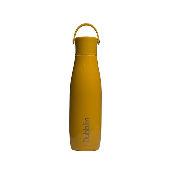 Dubblin Kiwi 700ML Stainless Steel Water Bottle Bbag | India’s Best Online Stationery Store