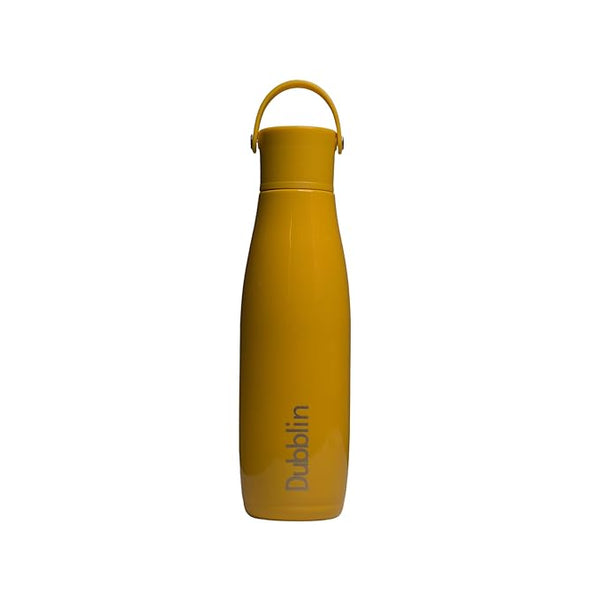 Dubblin Kiwi 700ML Stainless Steel Water Bottle Bbag | India’s Best Online Stationery Store