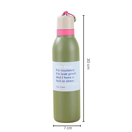 Insulated Water Bottle with Straw Lid 710ML Leak Proof Stainless Steel Bottle Bbag | India’s Best Online Stationery Store