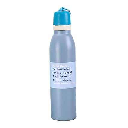 Insulated Water Bottle with Straw Lid 710ML Leak Proof Stainless Steel Bottle Bbag | India’s Best Online Stationery Store