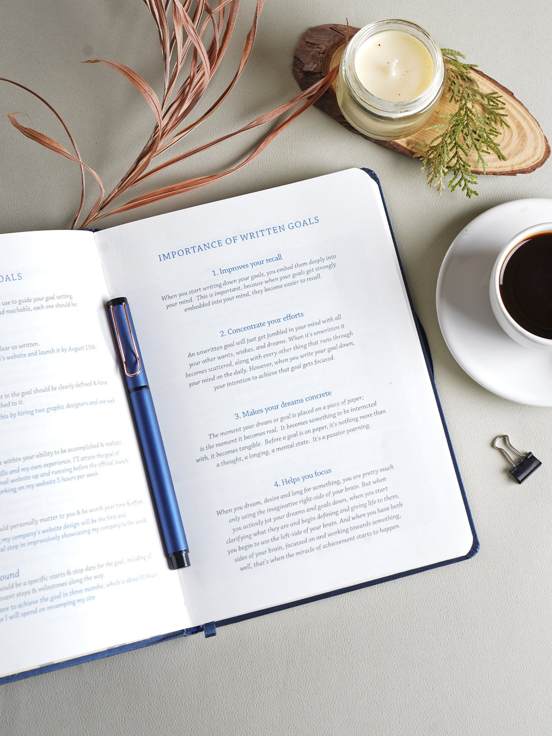 Scholar A5 Premium Goals Journal PGL2 192 PGS Bbag | India’s Best Online Stationery Store