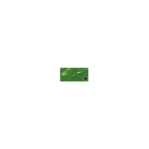 Pebeo High Viscosity Studio Acrylics - Green Earth (61) - Tube of 100 ML