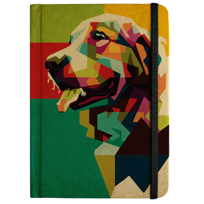 RETRIEVERPOPFRONT_/ Bbag India's Best Online store 