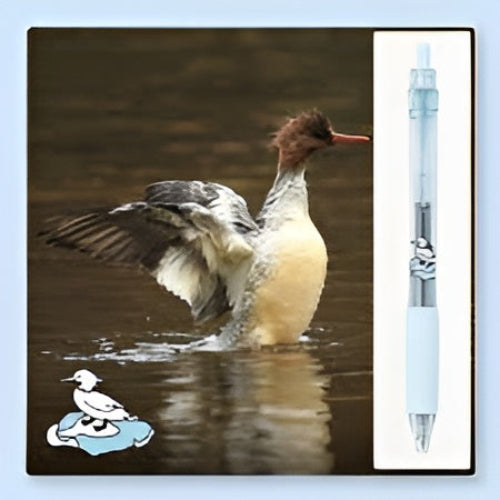 kaco keyo gel pen duck/ display / bbag india's best online store